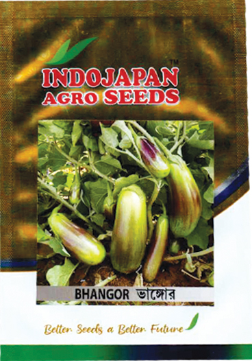 Packet 10